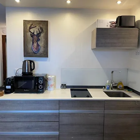 Downtown & Stunning Mountain View