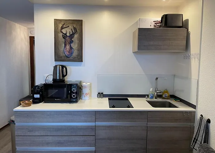 Downtown & Stunning Mountain View